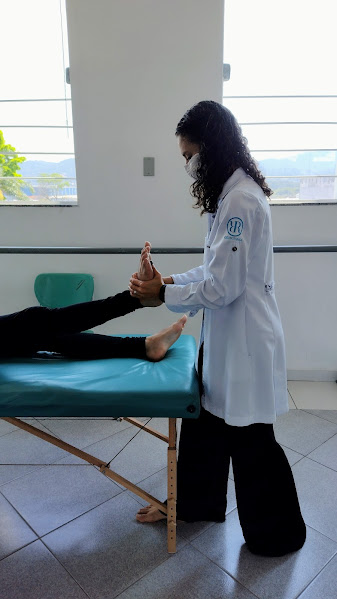 projeto-transversal (24)